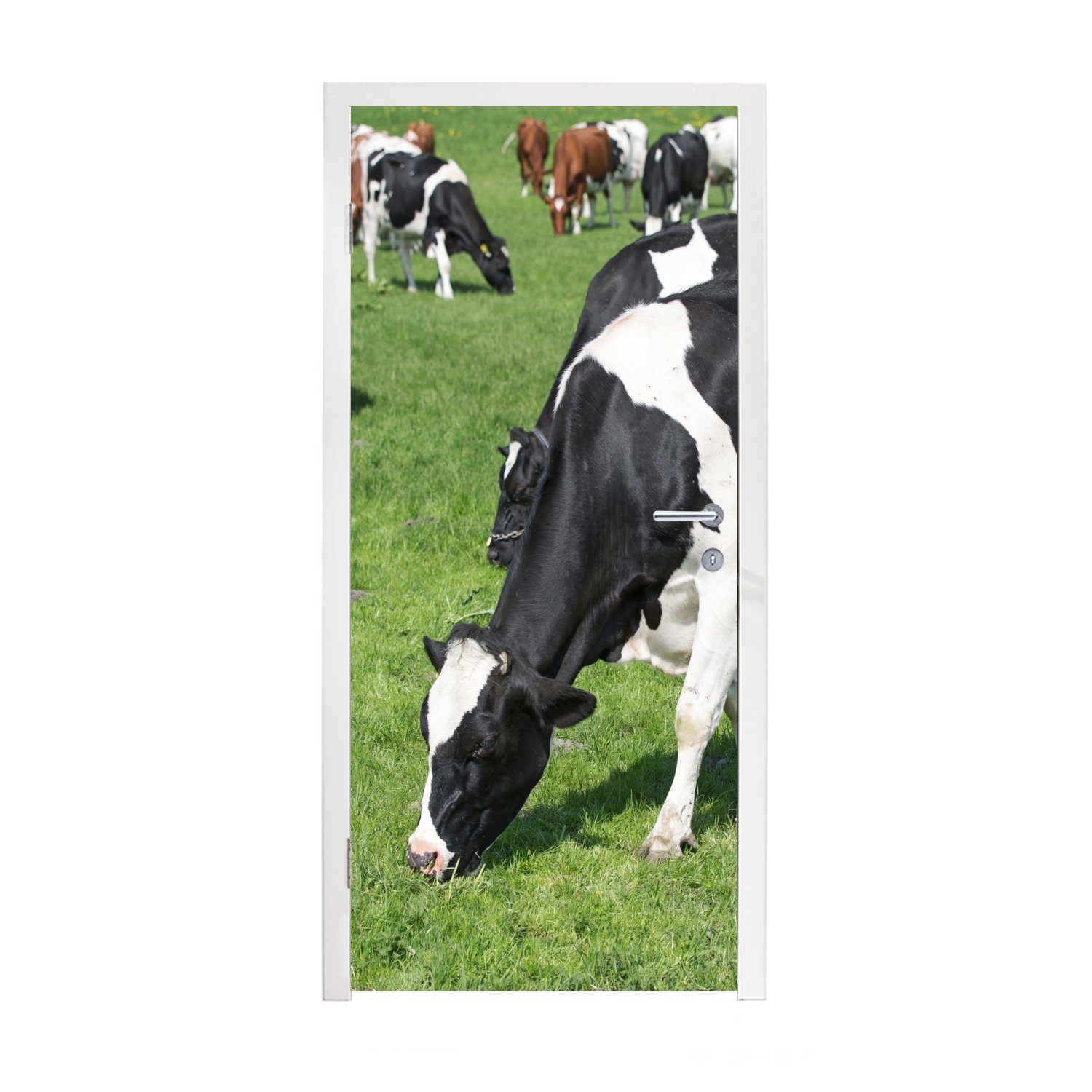 MuchoWow Türtapete Kuh - Tiere - Gras - Sonne, Matt, bedruckt, (1 St), Fototapete für Tür, Türaufkleber, 75x205 cm