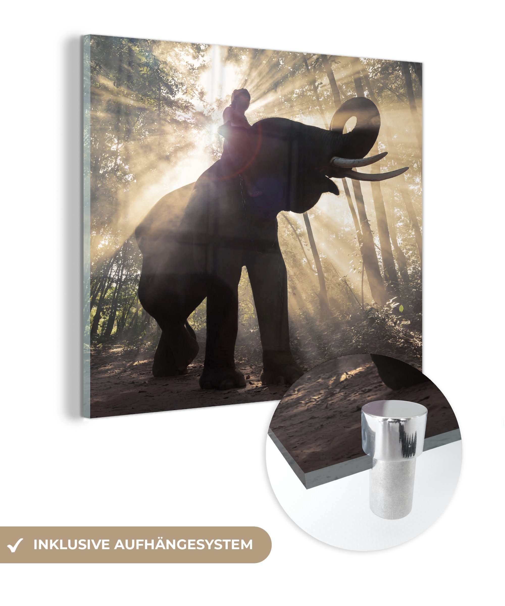 MuchoWow Acrylglasbild Elefant mit Person in hellem Sonnenlicht, (1 St), Glasbilder - Bilder auf Glas Wandbild - Foto auf Glas - Wanddekoration