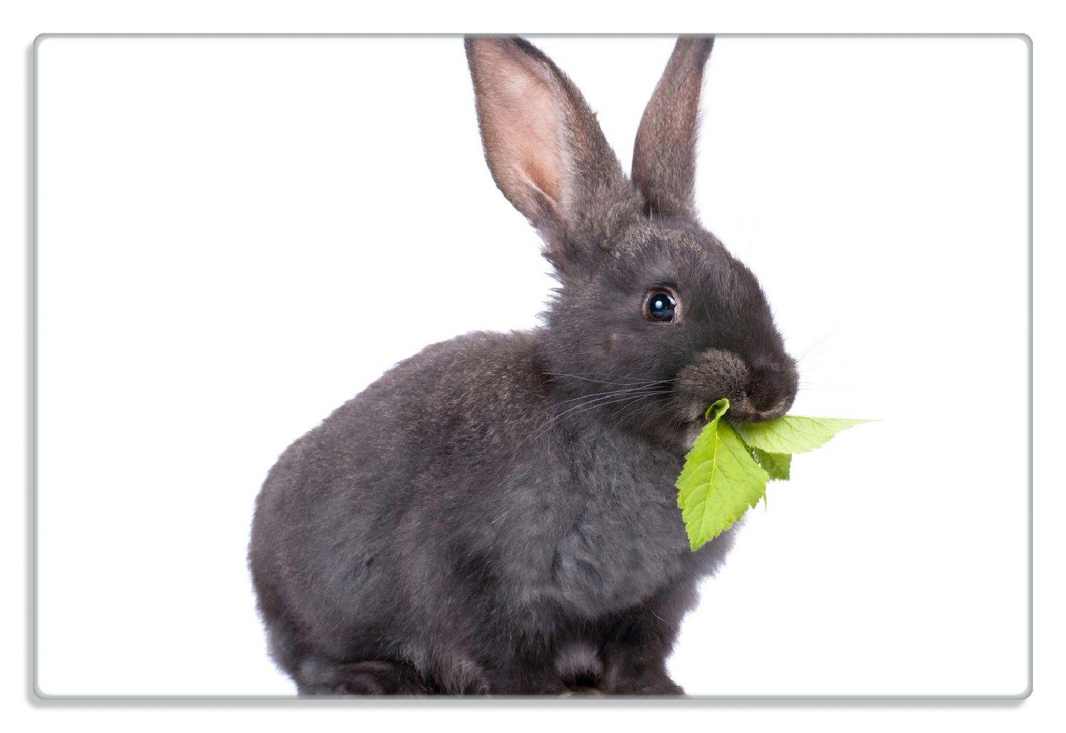 Wallario Frühstücksbrett Süßes Kaninchen mit Grünzeug beim Futtern, (inkl. rutschfester Gummifüße 4mm, 1-St), 20x30cm