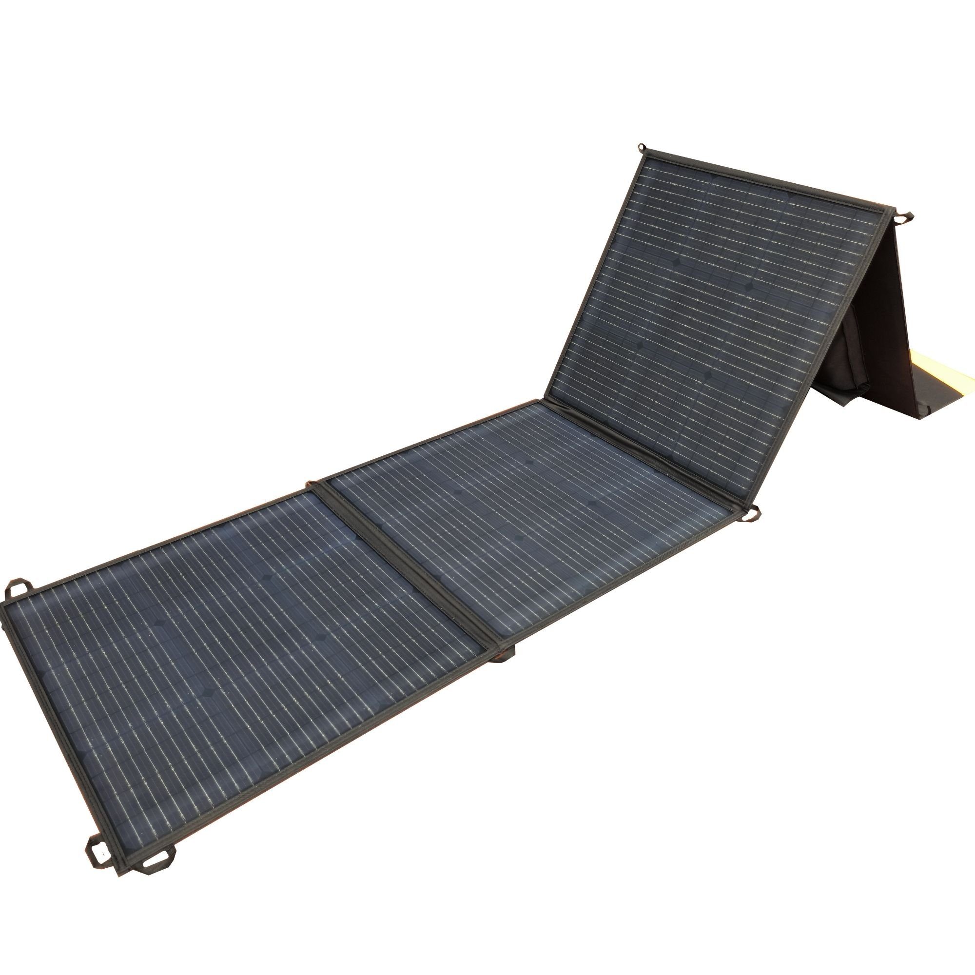 2-tlg., in Notfall-Solar und Stromerzeuger Pro panel Power Station Solar Bequem leicht,Ausgangsleistung,500Wh/1008Wh Generator), Life (Set, Mit Fine PV200, 1,20 kW, QE01-500Wh/1008Wh