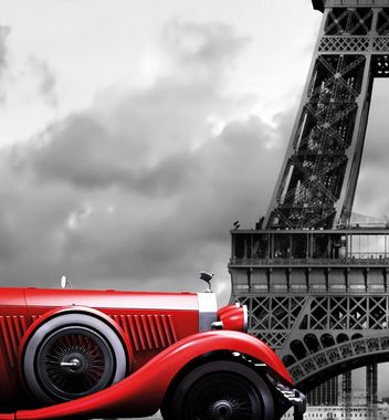 MyMaxxi Sichtschutzzaunmatten Zaunbanner Auto in Paris Sichtschutz Garten Zaun
