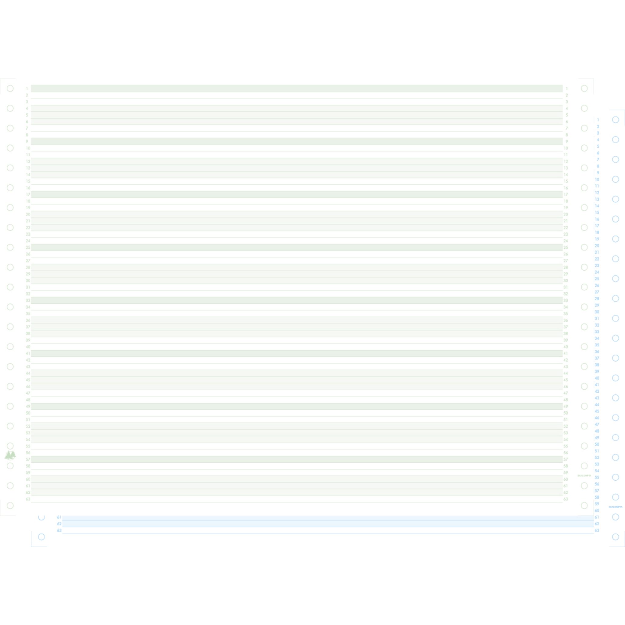 EXACOMPTA Druckerpapier Pk1000 List Paper 2 ply zone 56g 380x11' 63612E, Listingspapier