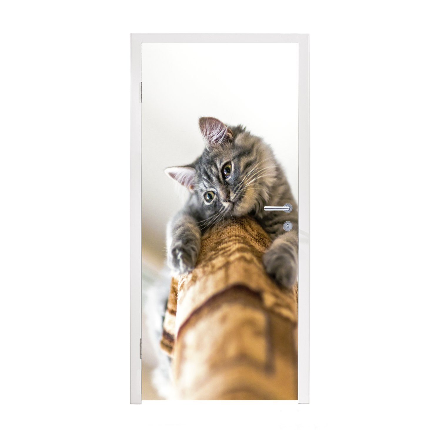 MuchoWow Türtapete Katze - Kratzbaum - Grau, Matt, bedruckt, (1 St), Fototapete für Tür, Türaufkleber, 75x205 cm