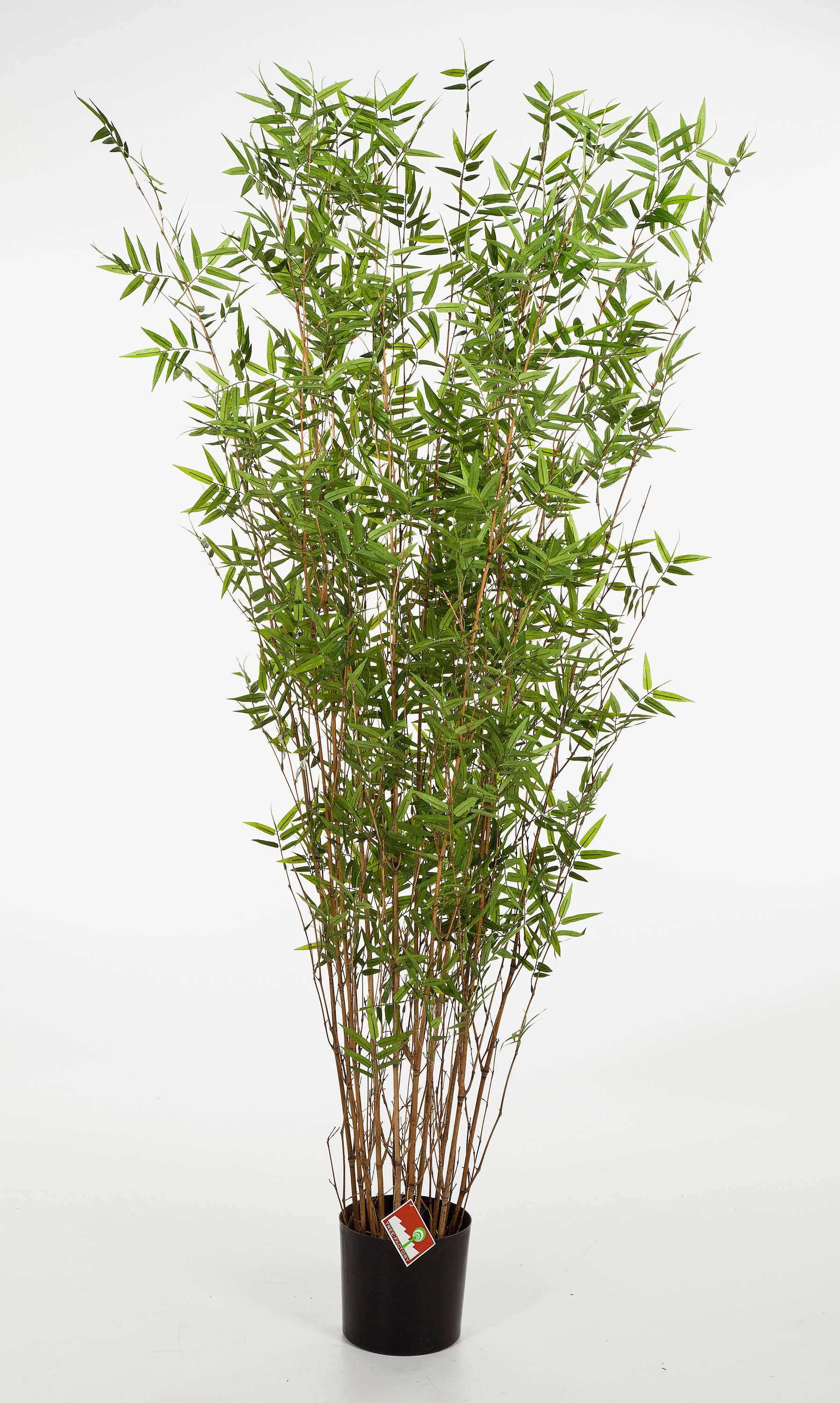 Kunstbambus Deko Bambus Busch Daya, 2400 kleine Blätter, 160cm Bambus (Schirmbambus), artplants, Höhe 160.0 cm