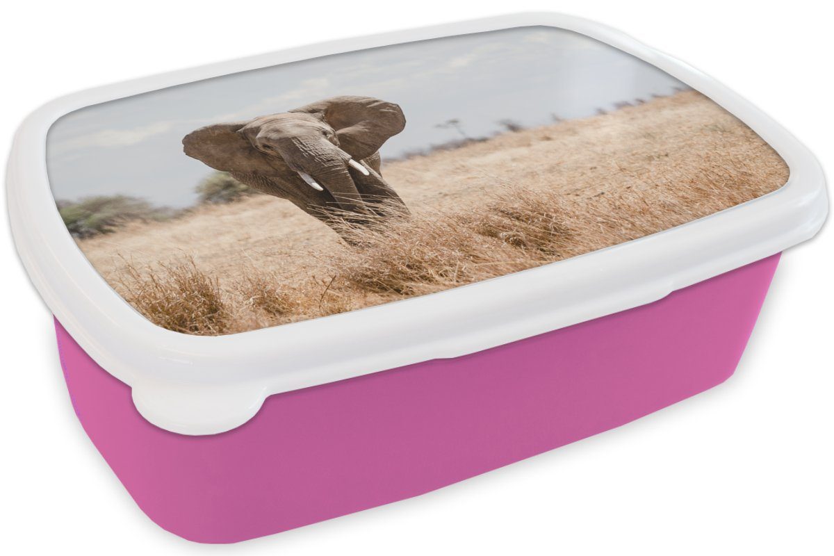 Snackbox, - rosa Elefant Tiere Kinder, für Natur (2-tlg), Erwachsene, Lunchbox Kunststoff, MuchoWow Porträt, Brotdose Kunststoff - - Brotbox Mädchen,