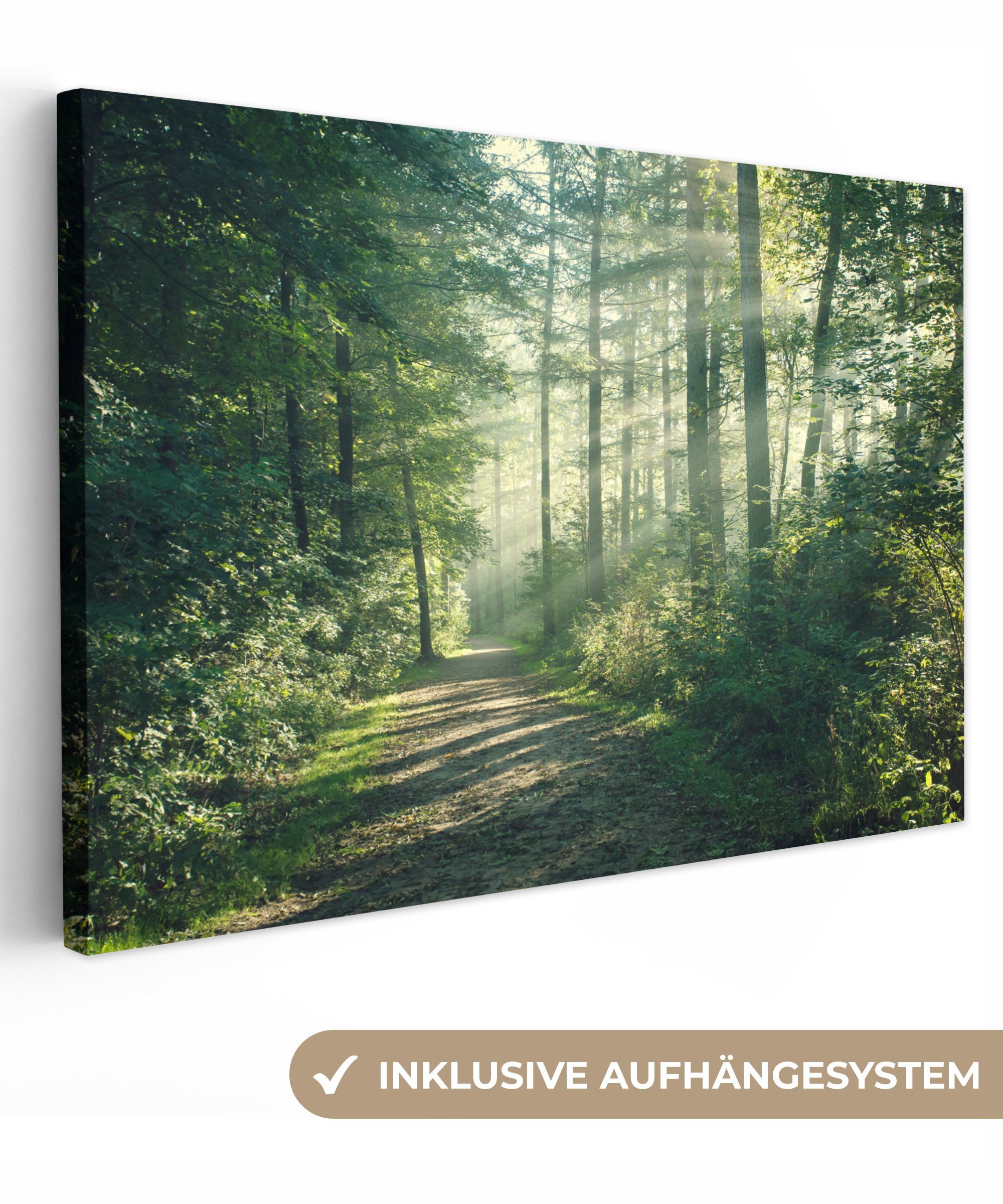 OneMillionCanvasses® Leinwandbild Wald - Weg - Sonne - Bäume - Grün - Natur günstig online kaufen
