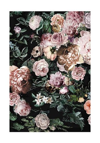KOMAR Плакат »Charming Wild«
