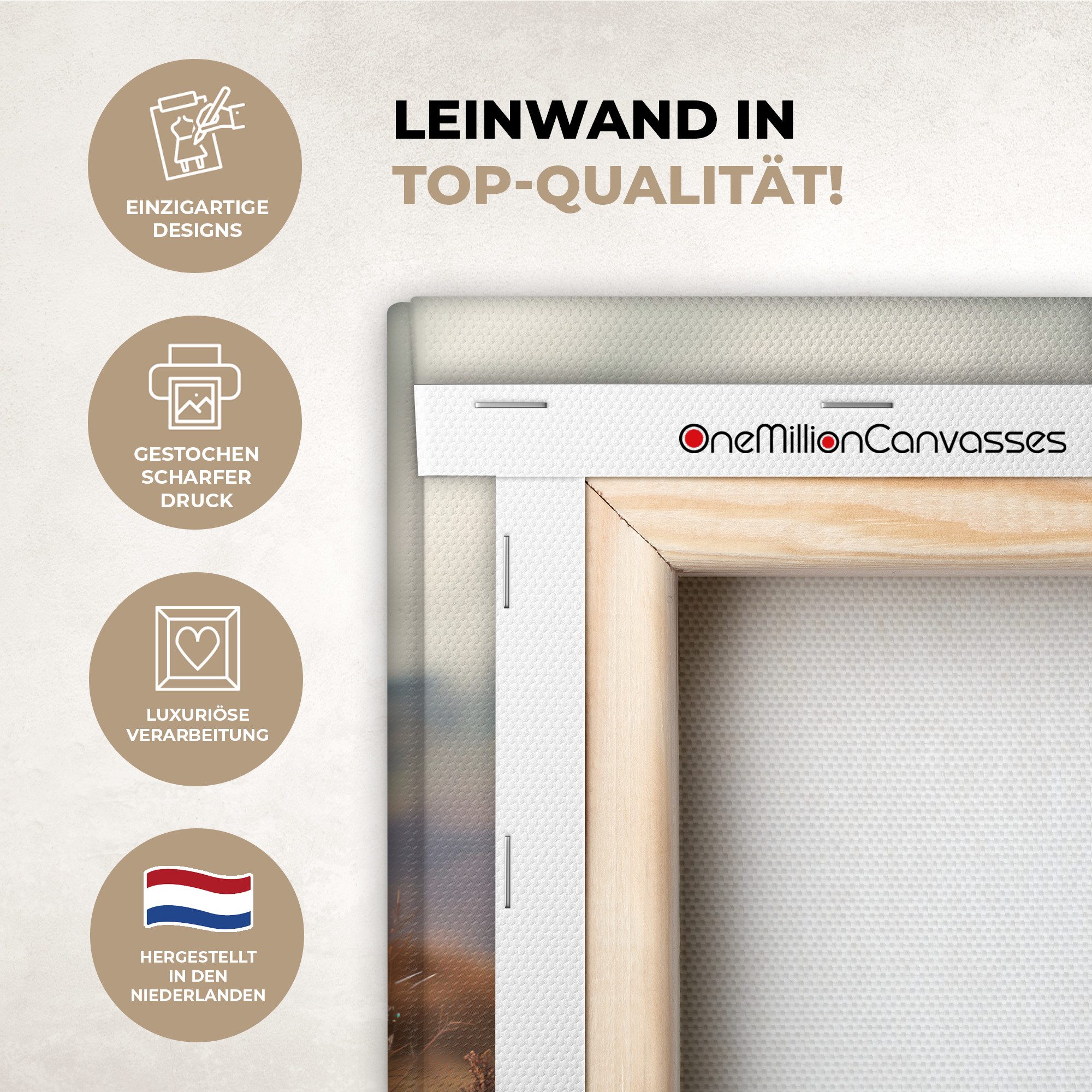 OneMillionCanvasses® Leinwandbild Schottische Highlander - Landschaft - Tier, Fotodruck (1 St), Leinwand Bilder Klein, Wand Dekoration Aesthetic 30x20 cm