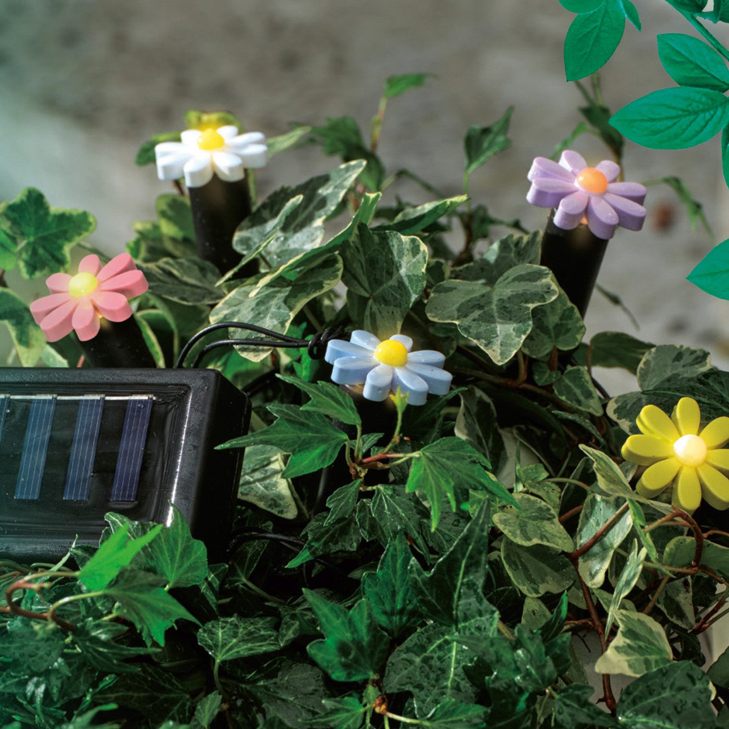 MARELIDA LED Solarleuchte LED Solar Lichterkette Blumen Beetstecker Gartenstecker Gartendeko, LED Classic, warmweiß (2100K bis 3000K)