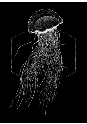 KOMAR Плакат »Jellyfish Black«