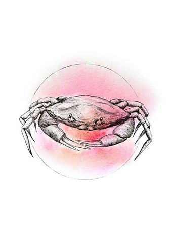 KOMAR Плакат »Crab Watercolor«