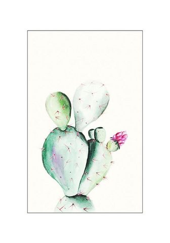 KOMAR Плакат »Prickly Pear Watercolor&...