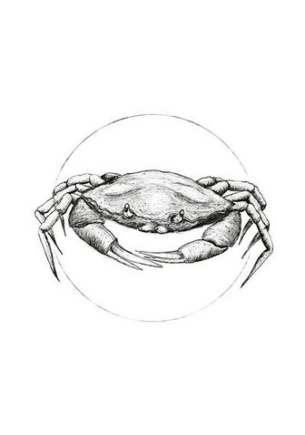KOMAR Плакат »Crab White«