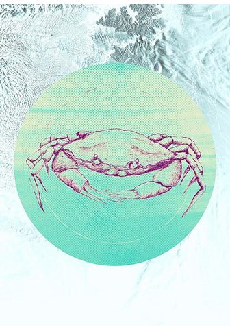 KOMAR Плакат »Crab Sea«