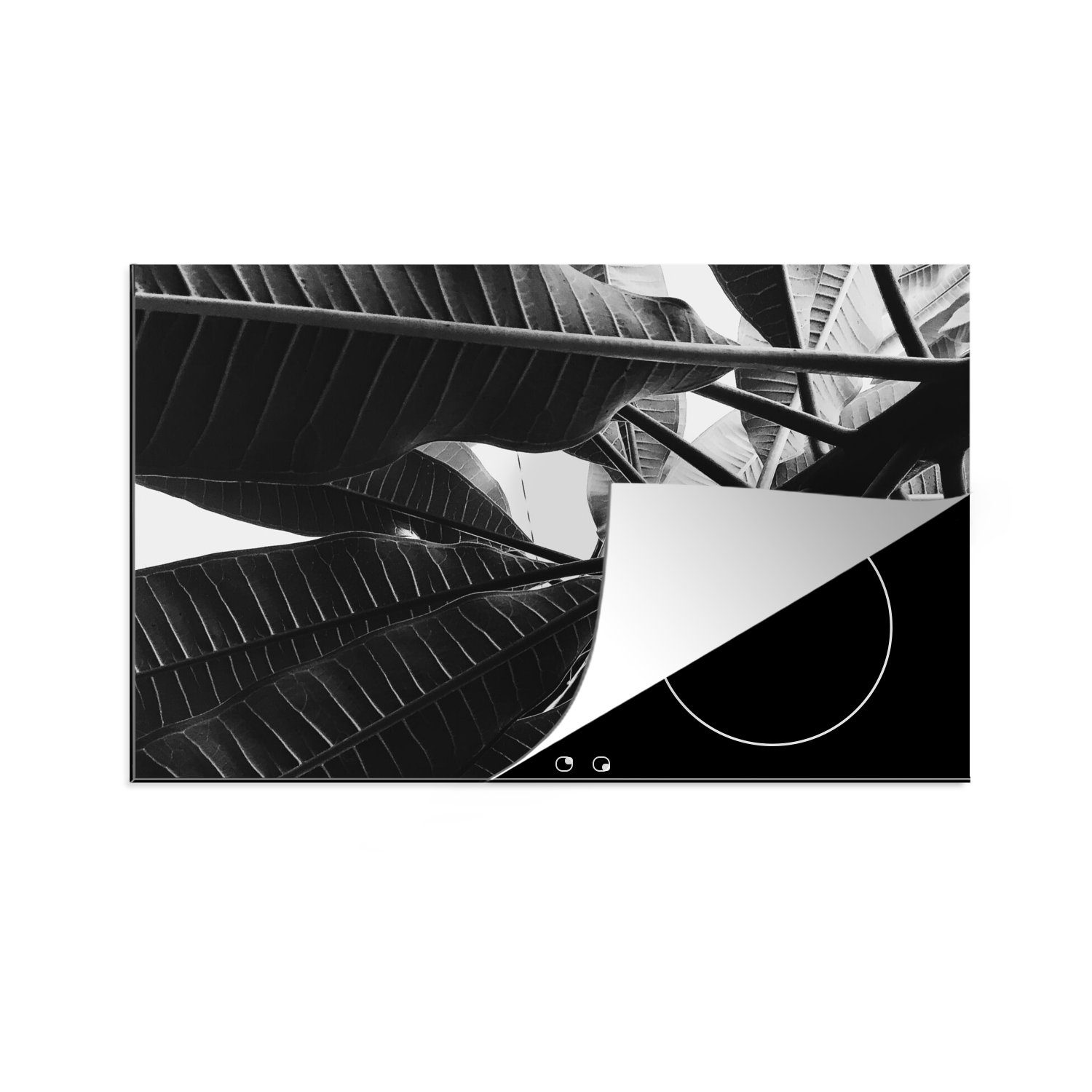 Ceranfeldabdeckung cm, (1 für - die Palmenblatt tlg), 80x52 Tropisch, Induktionskochfeld Herdblende-/Abdeckplatte küche, Vinyl, MuchoWow Schutz