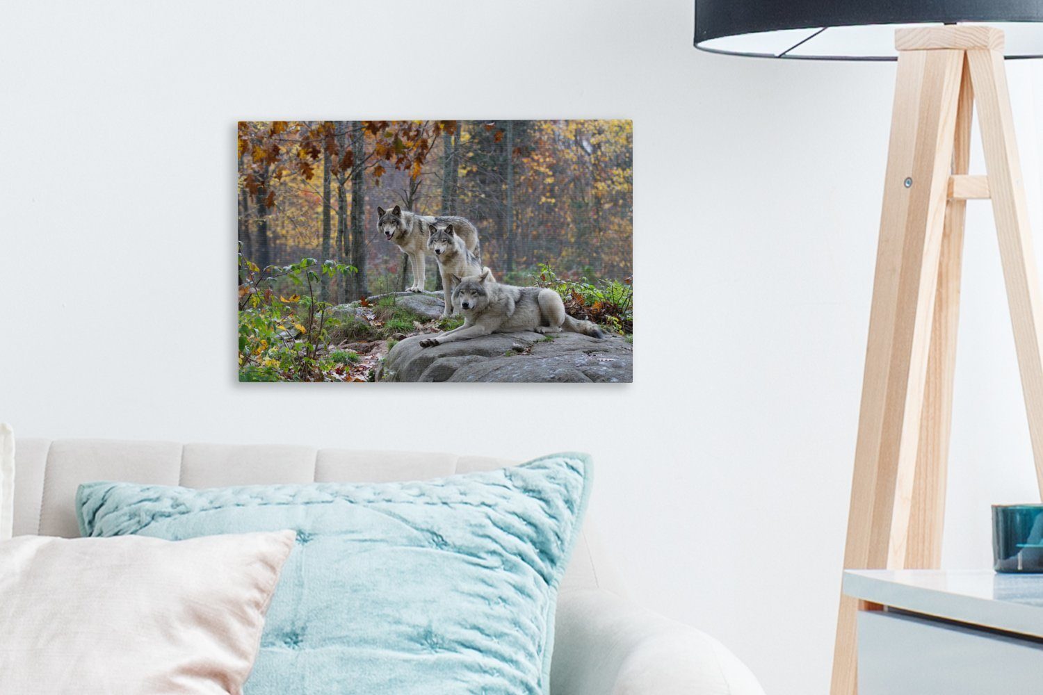OneMillionCanvasses® Leinwandbild Wolf - Herbst - Wald, Fotodruck (1 St), Leinwand Bilder Klein, Wand Dekoration Aesthetic 30x20 cm – Bild 3 von 5