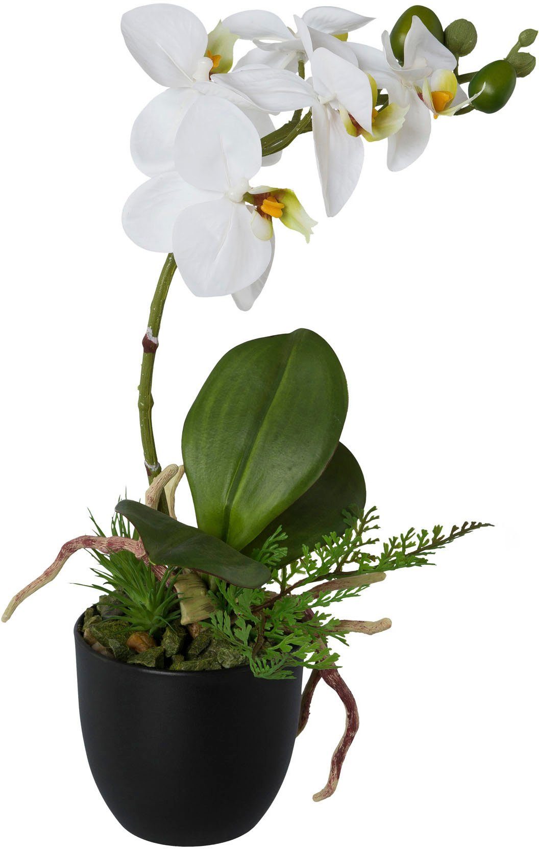 Creativ Kunstorchidee green, 35 Phalaenopsis, cm, 2er Höhe Kunststofftopf Set, im