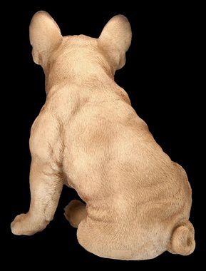 Figuren Shop GmbH Tierfigur Französische Bulldoggen Figur - Tierfigur Hunde Dekofigur