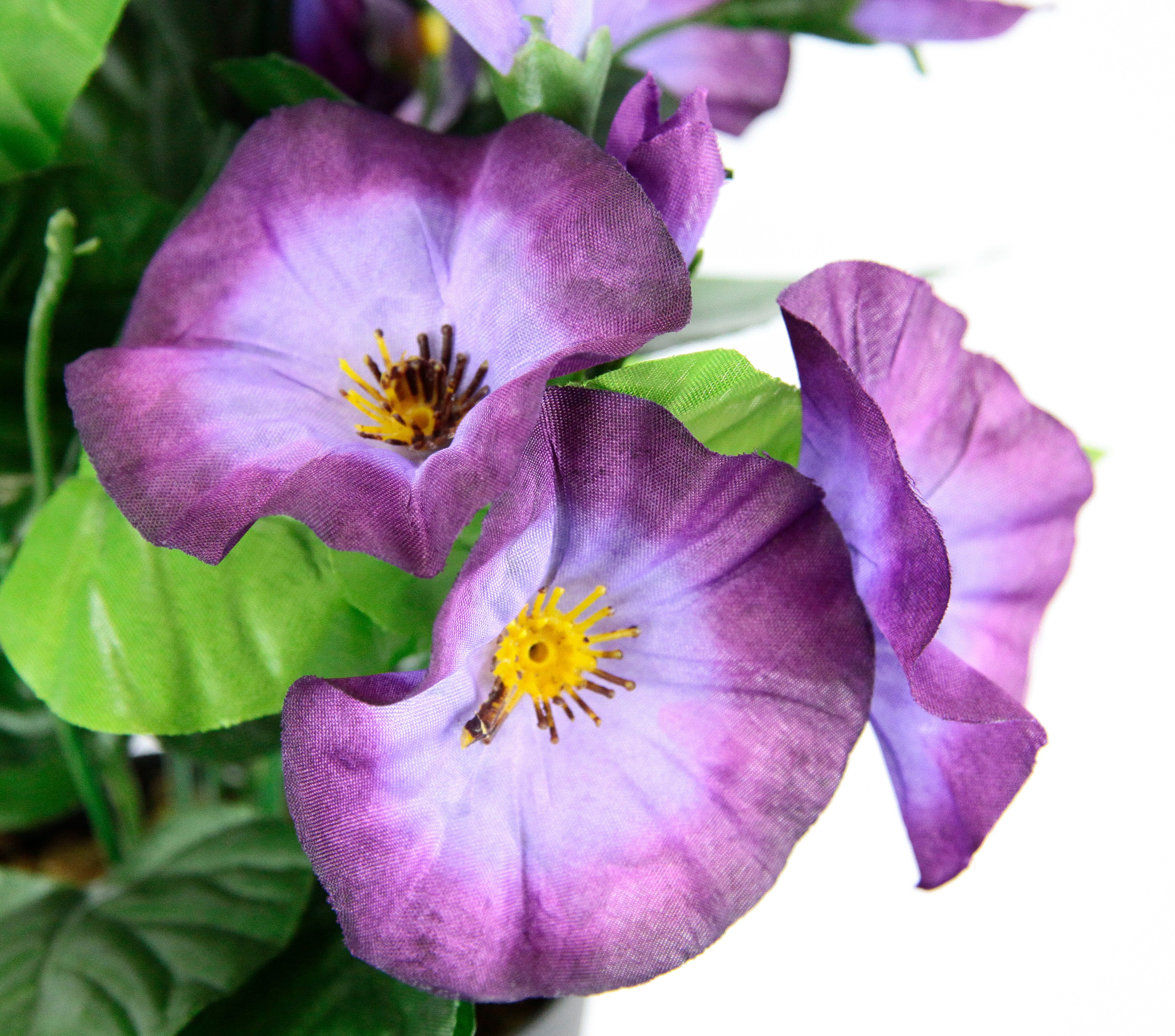 Kunstblume Petunien, I.GE.A., Höhe 27 cm, günstig online kaufen