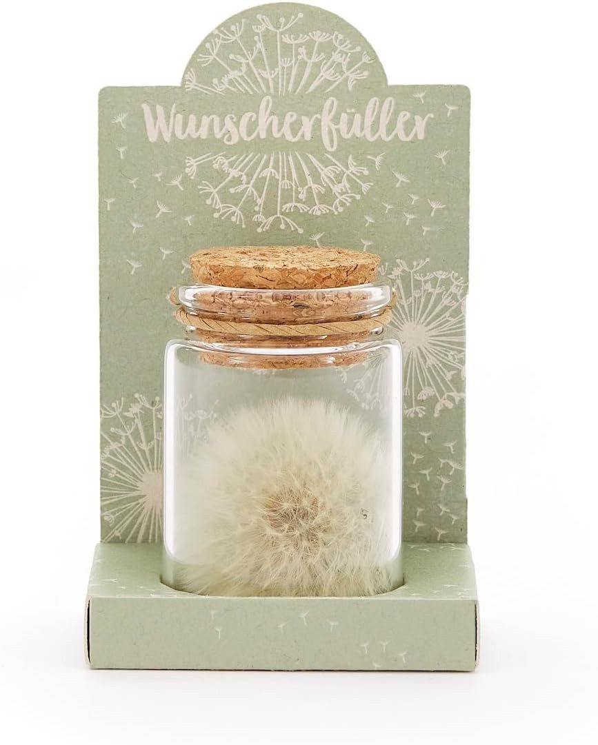 Trockenblume Echte Pusteblume, Toller Wunscherfüller zur Hochzeit, Geburtstag uvm. Löwenzahn, Die Stadtgärtner