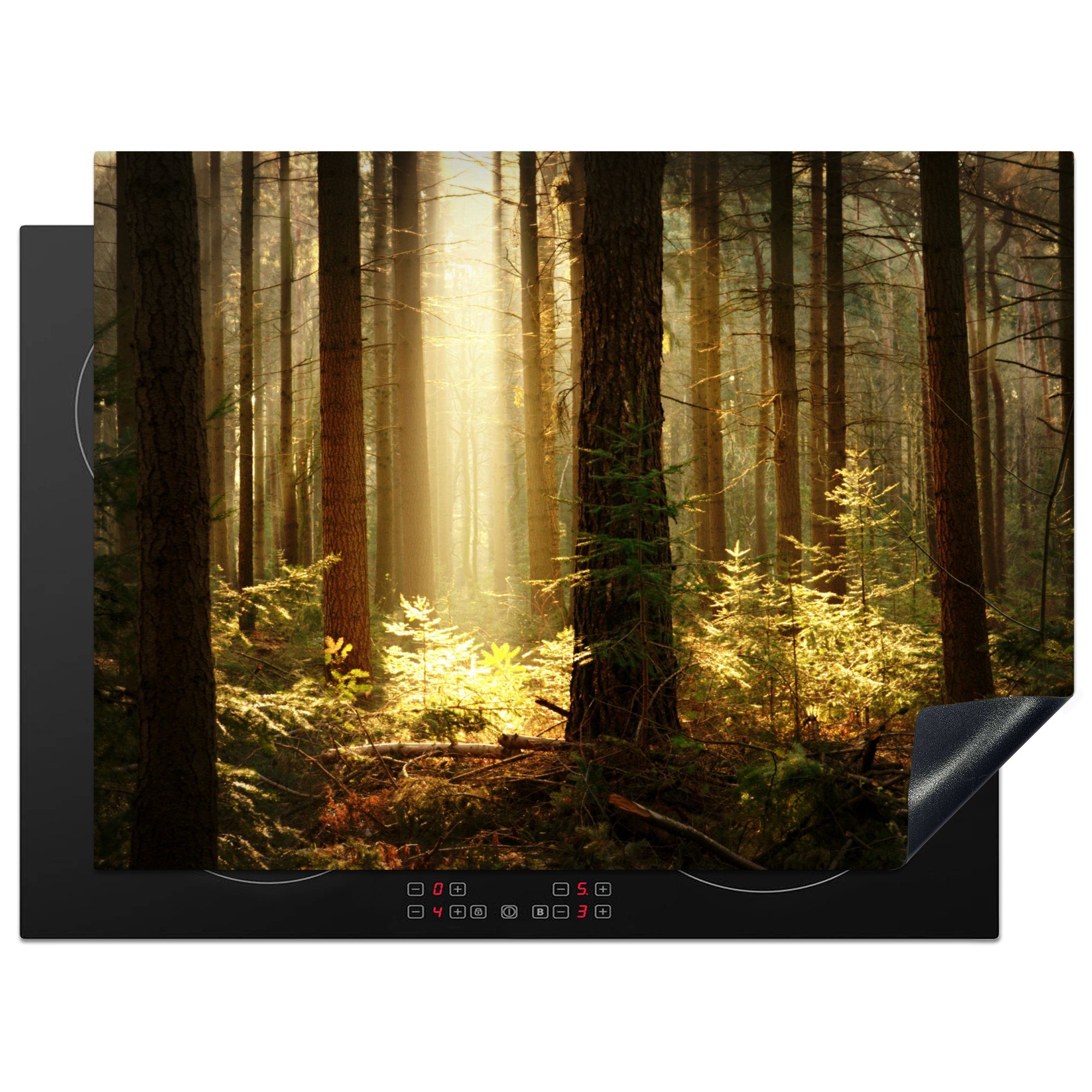MuchoWow Herdblende-/Abdeckplatte Wald - Bäume - Sonne, Vinyl, (1 tlg), 71x52 cm, Induktionskochfeld Schutz für die küche, Ceranfeldabdeckung