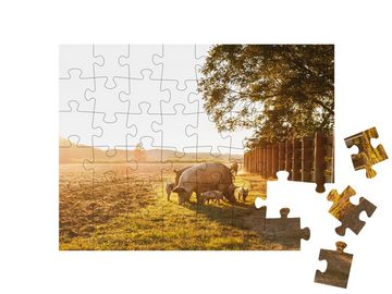 puzzleYOU Puzzle Hausschwein mit Ferkelchen auf einer Wiese, 48 Puzzleteile, puzzleYOU-Kollektionen Schweine & Ferkel