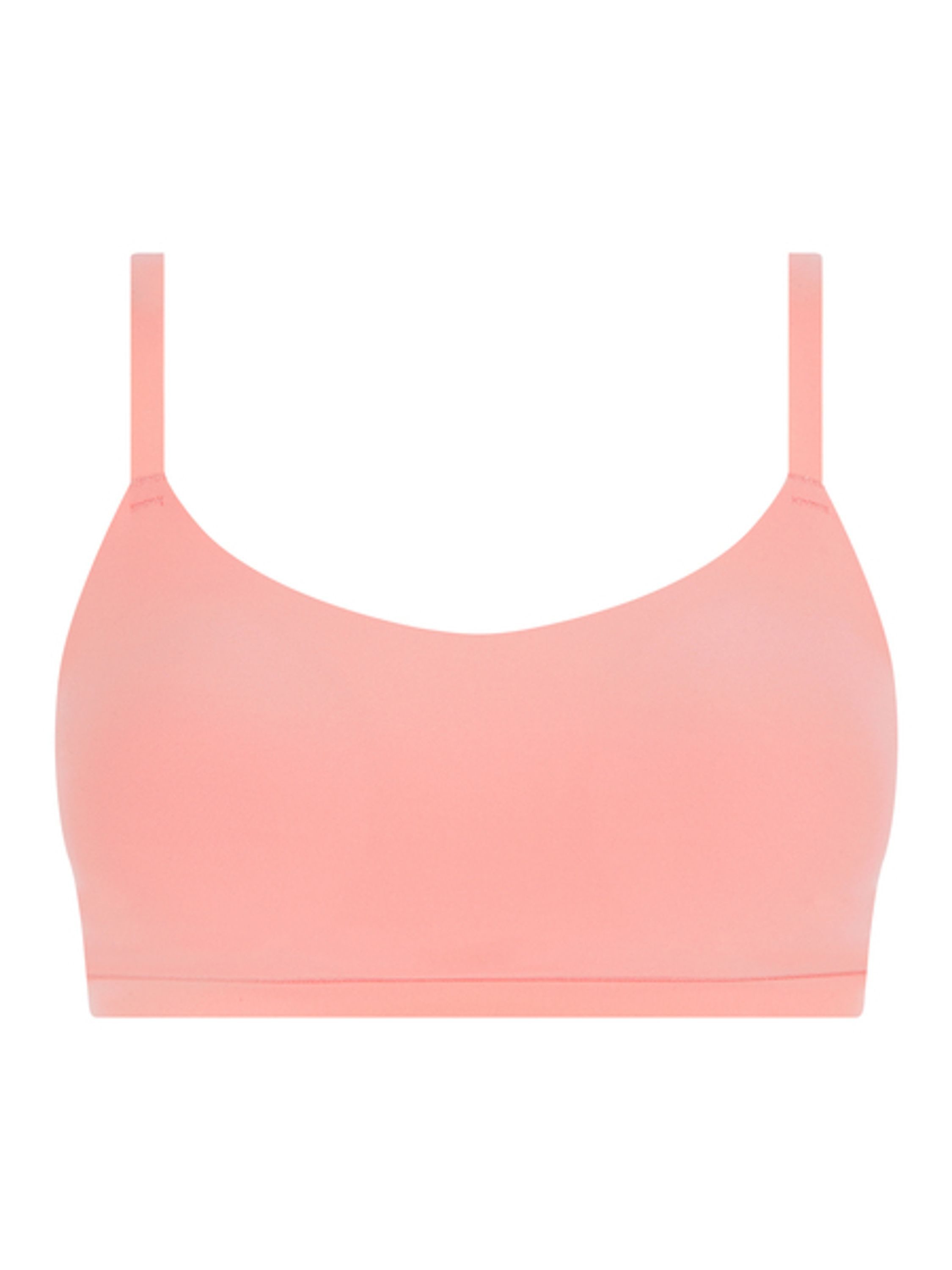 Bustier