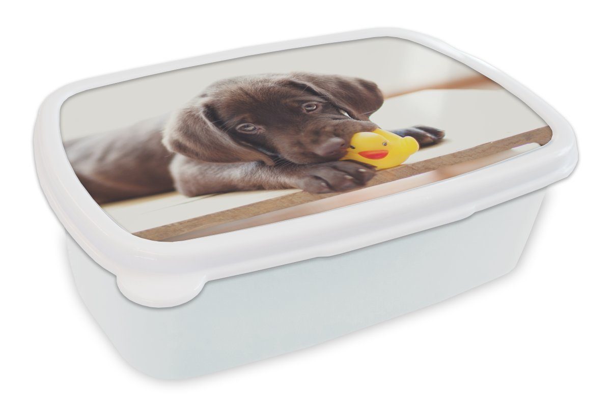 MuchoWow Lunchbox Schokolade Labrador Retriever Welpe, Kunststoff, (2-tlg), Brotbox für Kinder und Erwachsene, Brotdose, für Jungs und Mädchen weiß