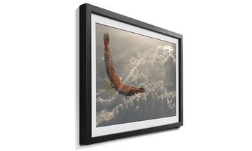 WandbilderXXL Bild mit Rahmen Eagle In Flight, Adler, Wandbild, in 4 Größen erhältlich