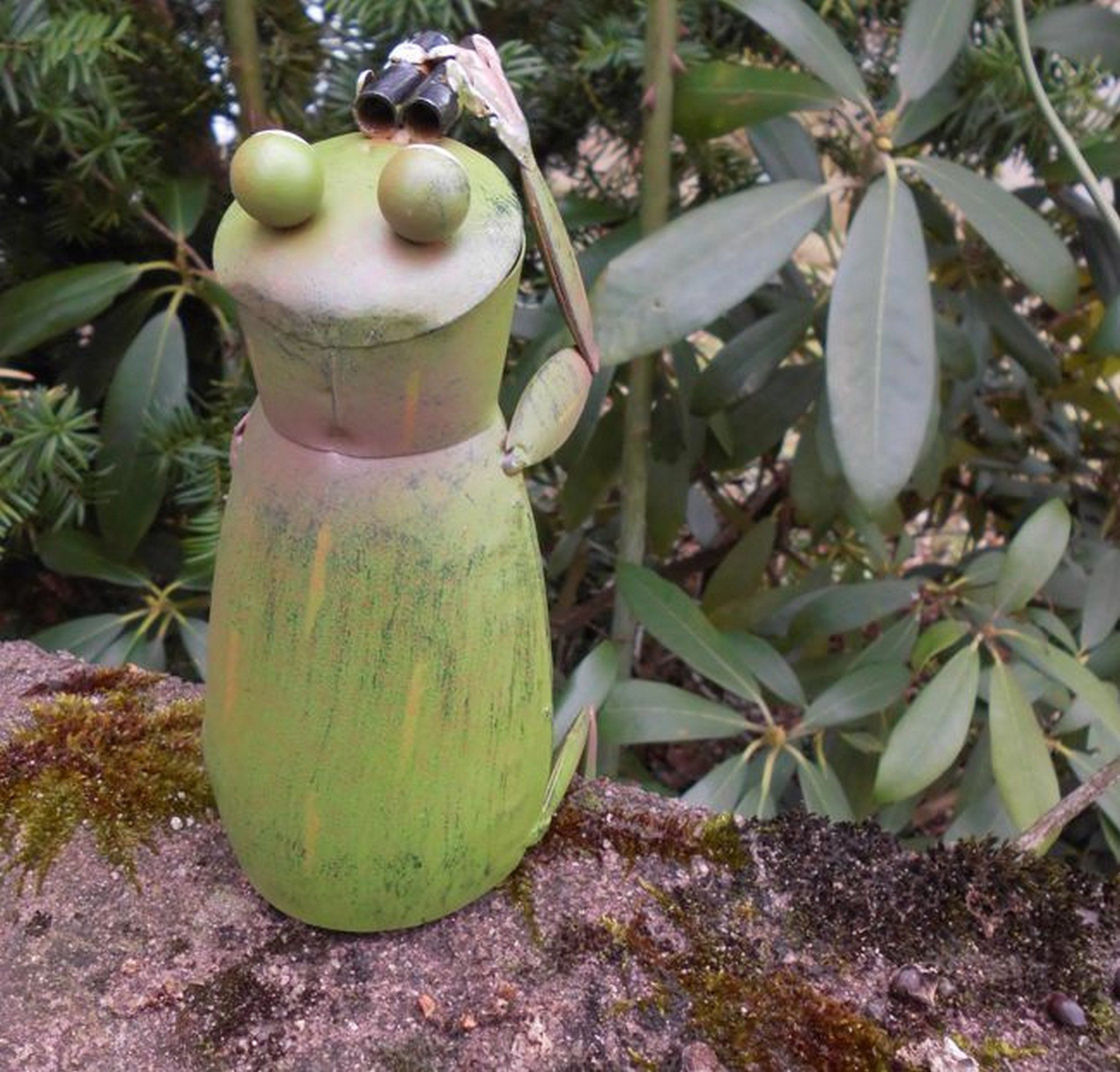 Deko-Impression Dekofigur Kantenhocker Spanner Zaunfigur Pfahlhocker Frosch mit Fernglas 27 cm (1 St)