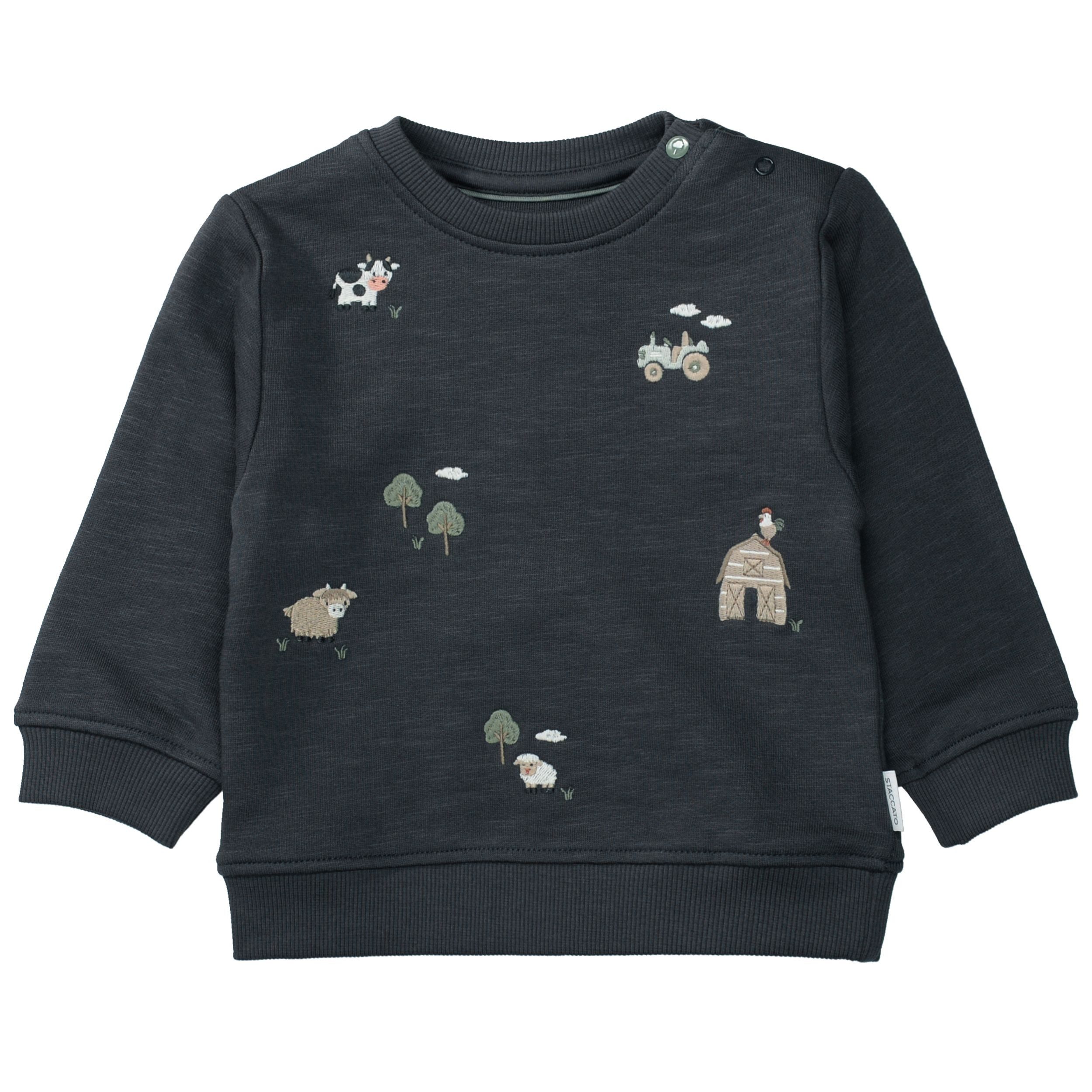 STACCATO Sweatshirt