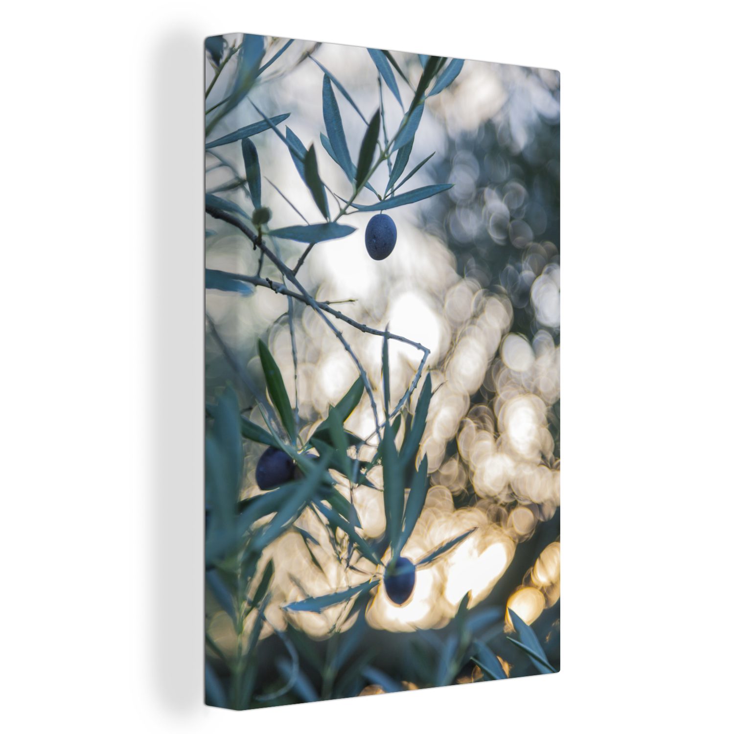 Leinwandbild in einem Oliven St), (1 bespannt inkl. OneMillionCanvasses® 20x30 Zackenaufhänger, fertig Olivenbaum, Gemälde, Leinwandbild cm