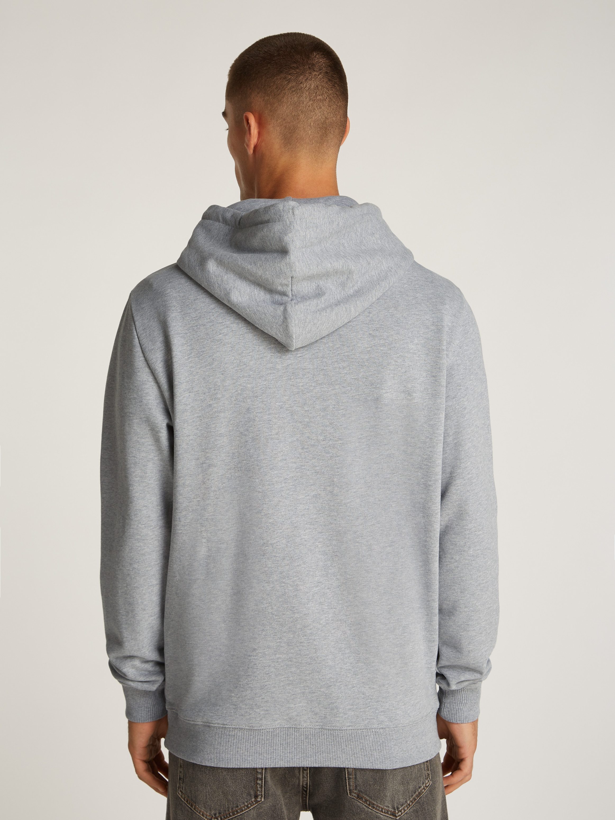 Tommy Jeans Plus Hoodie TJM REG günstig online kaufen