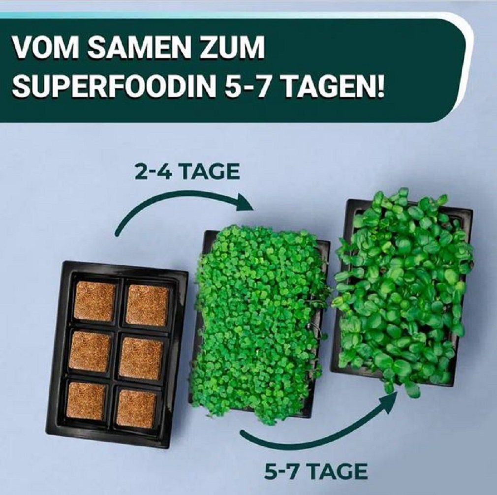 OraGarden Kräutertopf Soil MicroGreens Superfood div. Sorten Stück) (6 Kräuter-Saatpads 