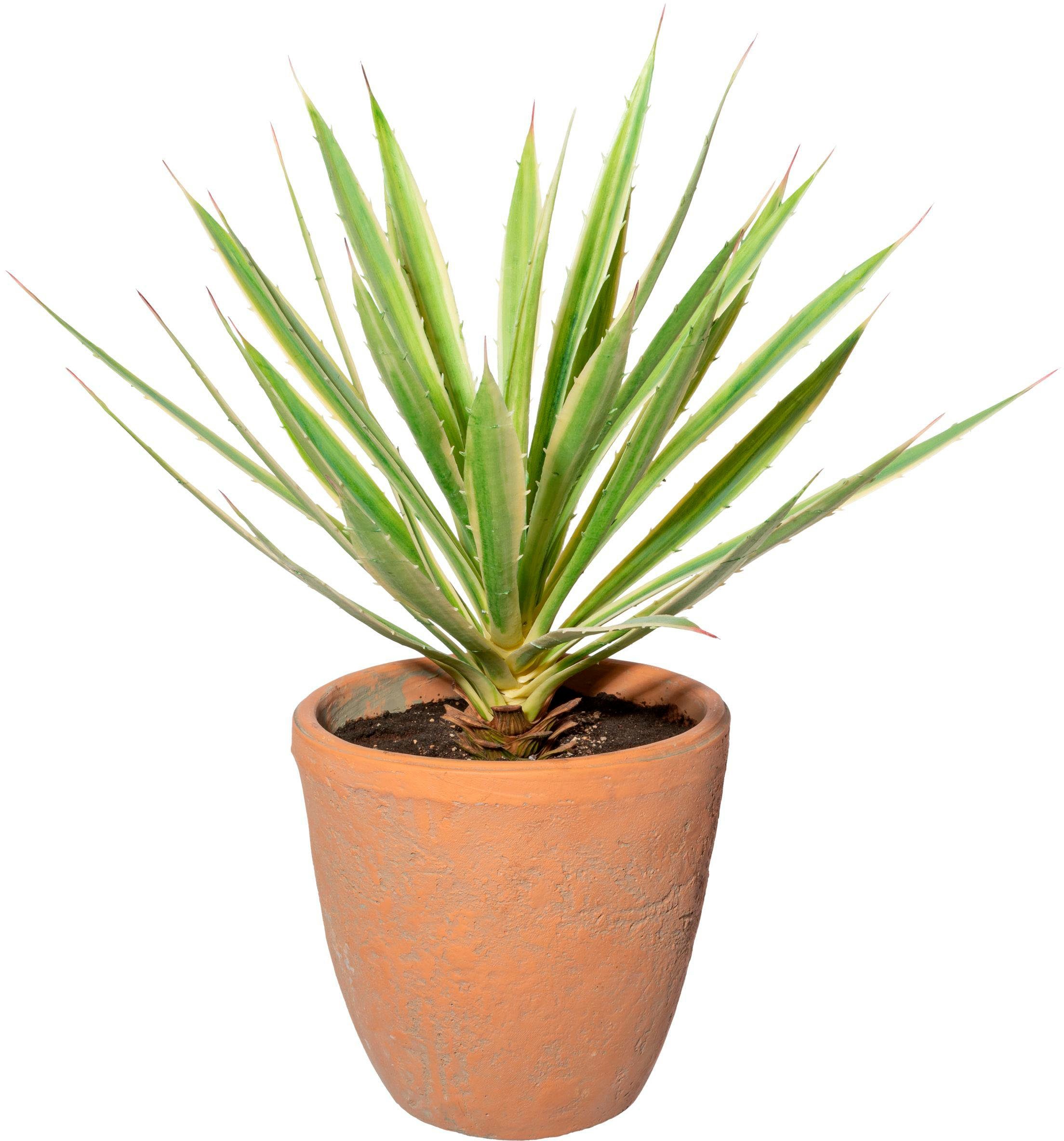 Künstliche Zimmerpflanze Yucca im Terracottatopf Sukkulente, Creativ green, Höhe 45 cm