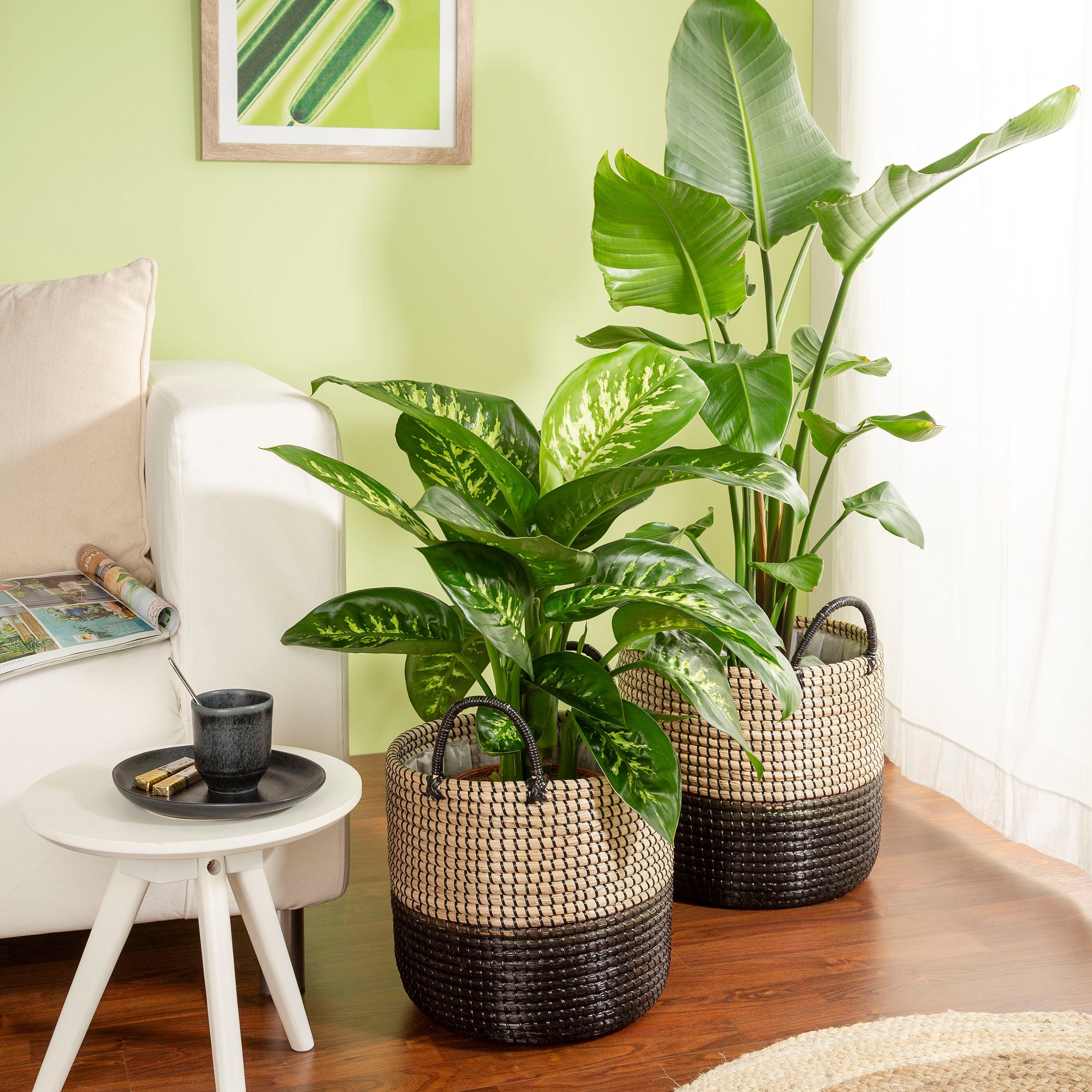 Scheurich Blumentopf nature black 34/515