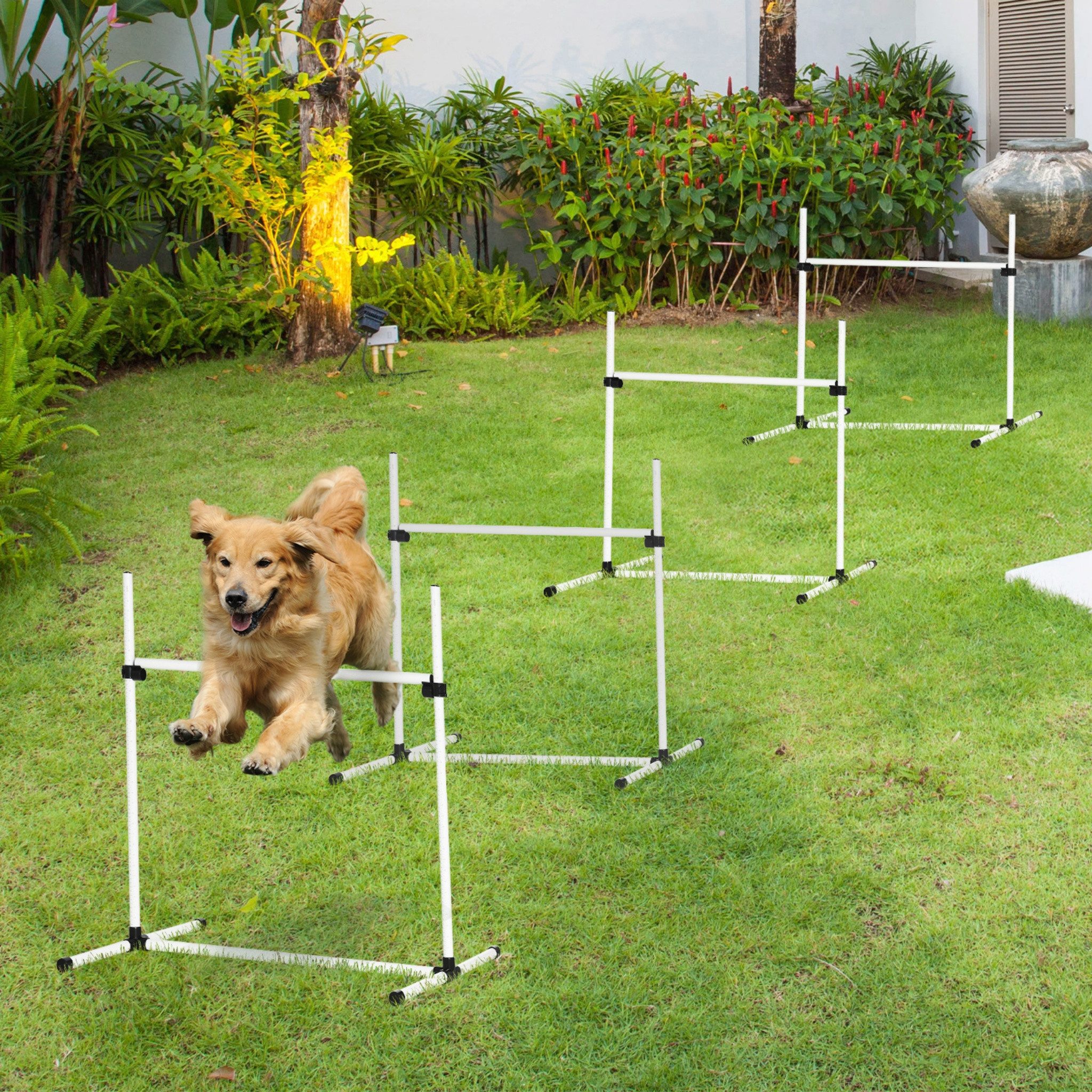 Blossom Agility-Hürde Agility Hundetraining Set