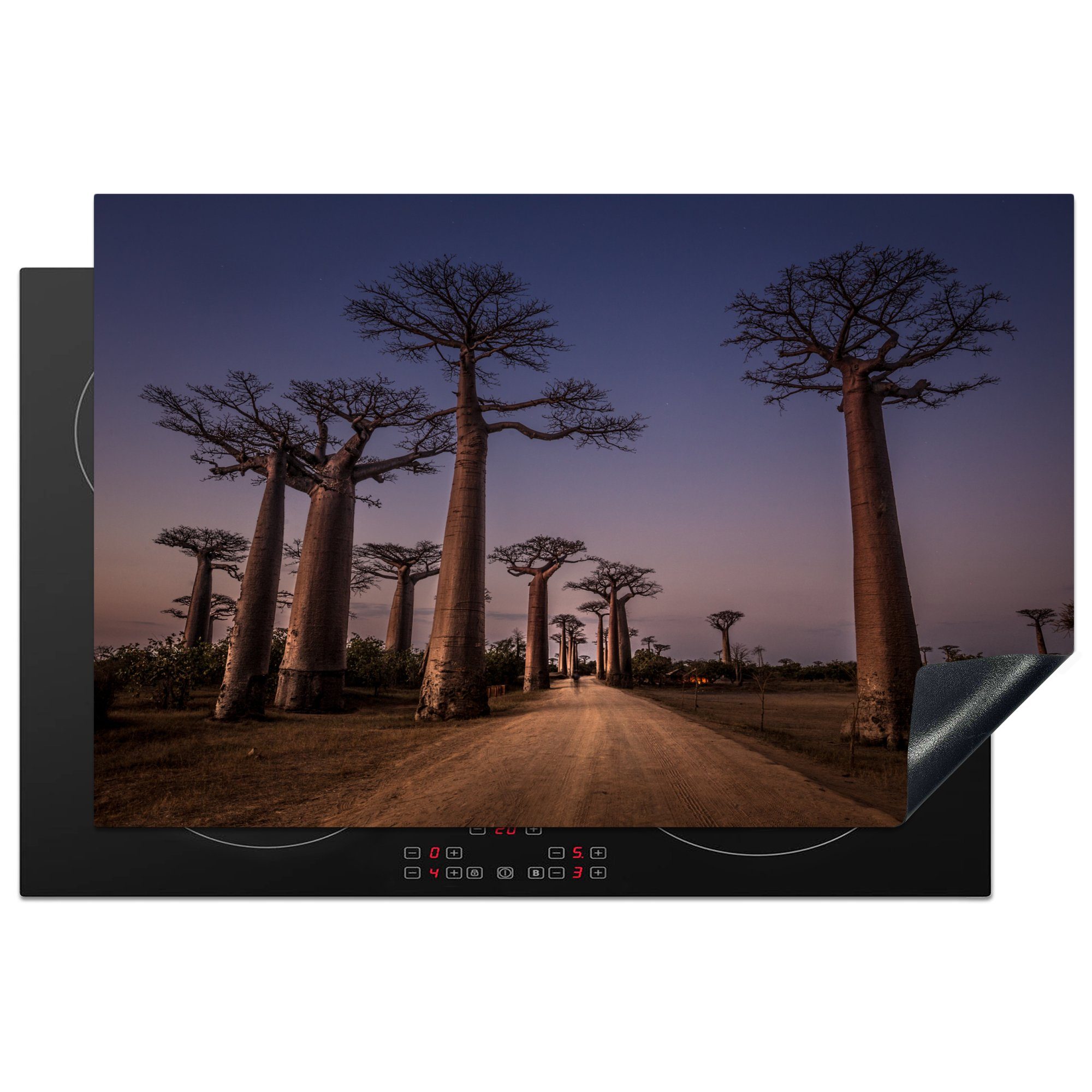 MuchoWow Herdblende-/Abdeckplatte Allee für Vinyl, Induktionskochfeld in Affenbrotbäume die Madagaskar, Schutz Ceranfeldabdeckung tlg), küche, der 81x52 cm, (1