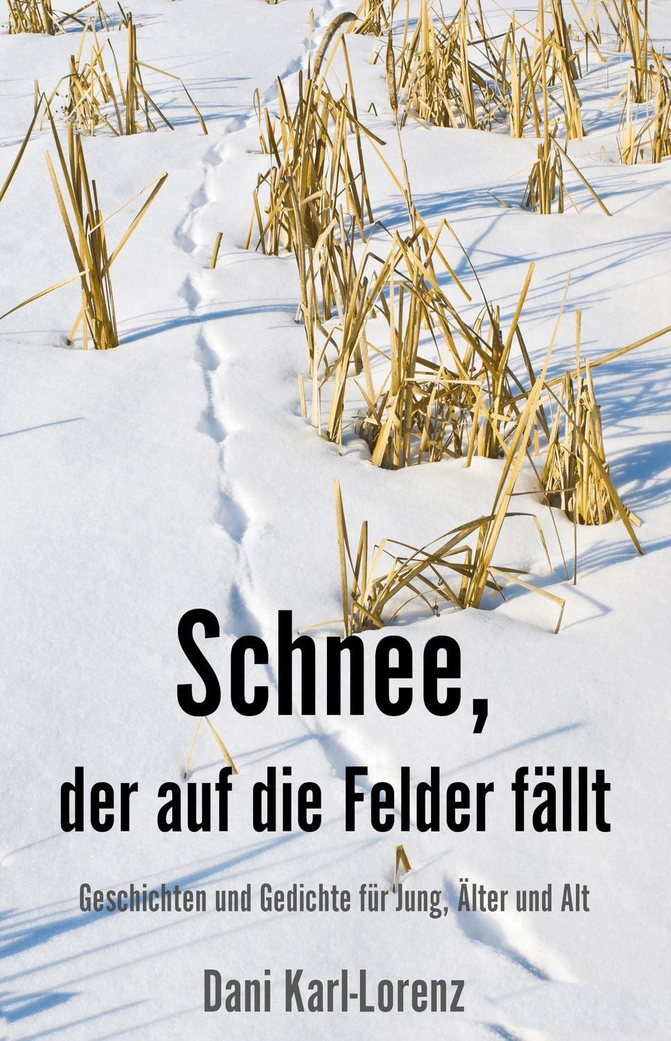 Schnee, der auf die Felder fällt / Dani Karl-Lorenz