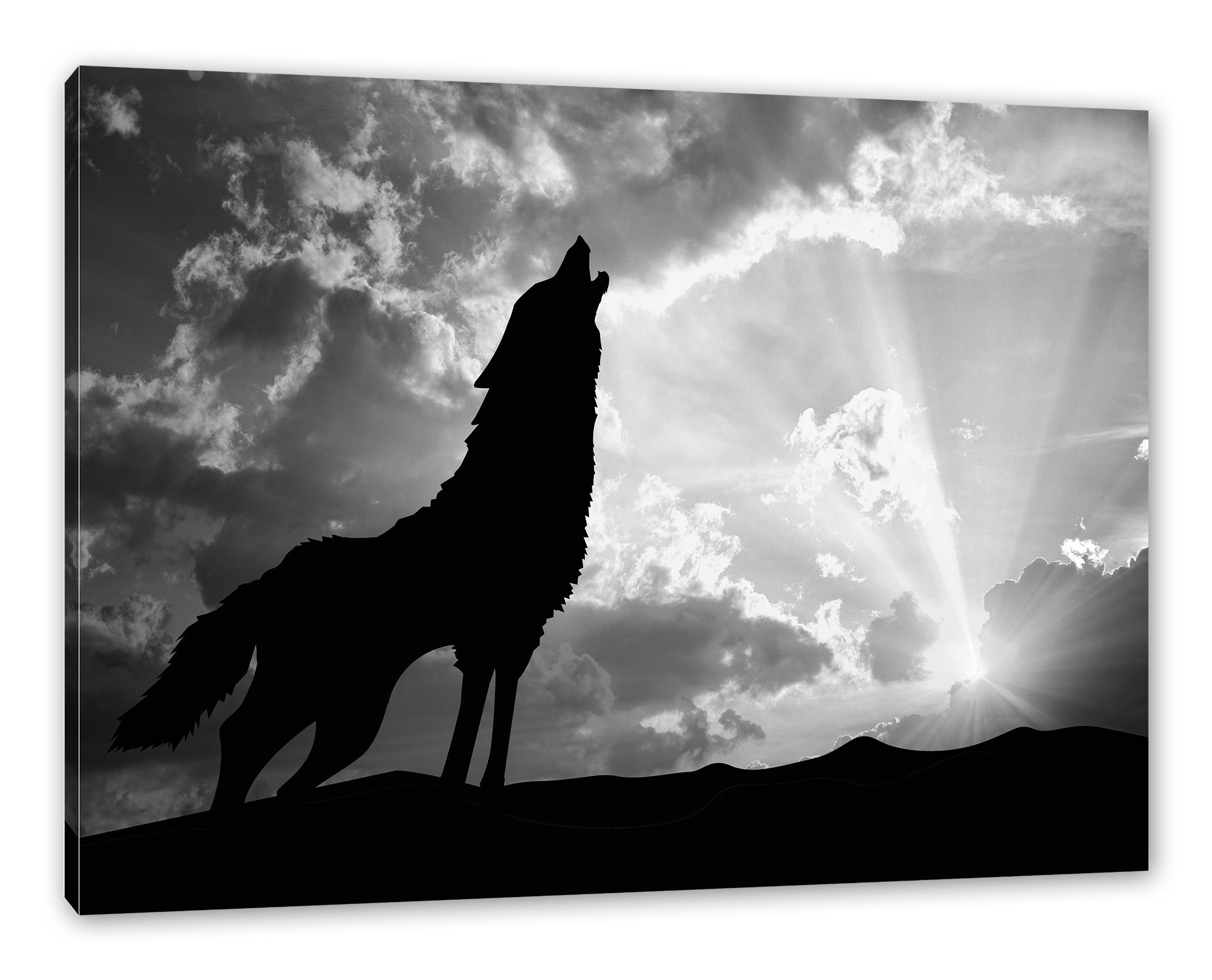 Pixxprint Leinwandbild Wolf Heulen, Wolf Heulen (1 St), Leinwandbild fertig bespannt, inkl. Zackenaufhänger