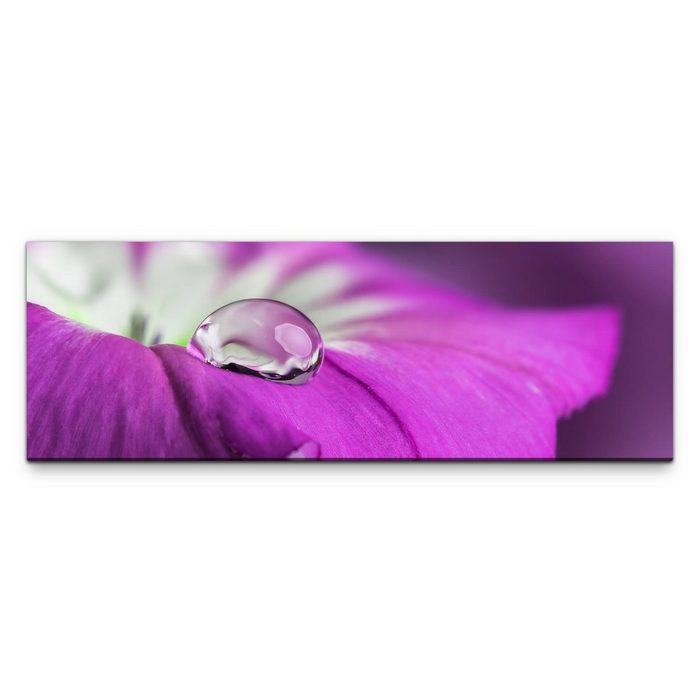möbel-direkt.de Leinwandbild Bilder XXL lila Blüte mit Tropfen Wandbild auf Leinwand