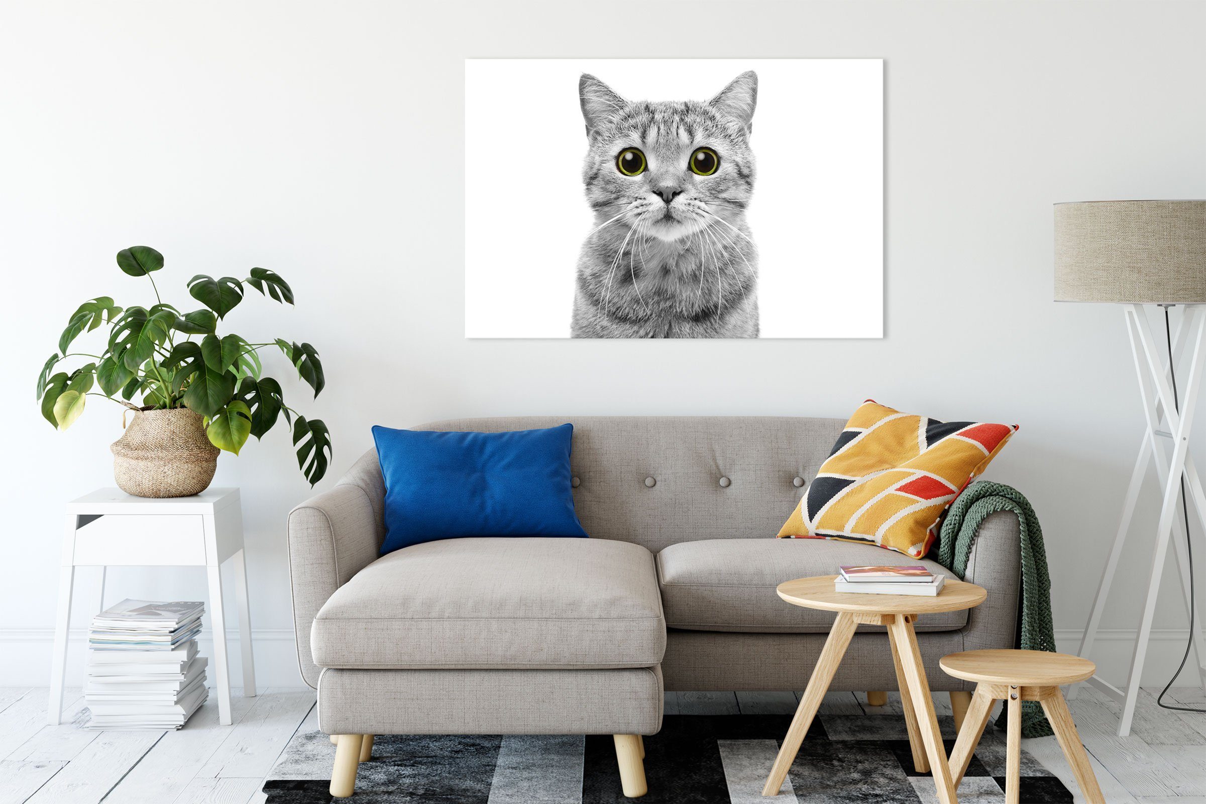 Leinwandbild Straight, Zackenaufhänger Scottish Straight bespannt, (1 Pixxprint inkl. Leinwandbild St), Katze Scottish fertig Katze