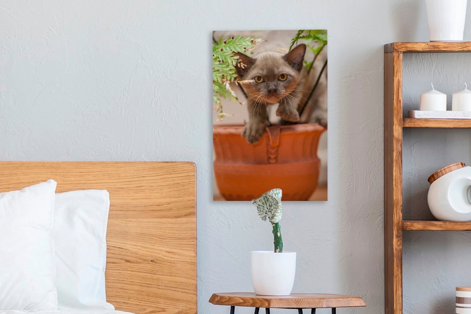 Leinwandbild OneMillionCanvasses® St), inmitten birmanisches sitzt 20x30 Zackenaufhänger, bespannt Ein Kätzchen fertig Gemälde, (1 junges inkl. Leinwandbild cm der Pflanzen,