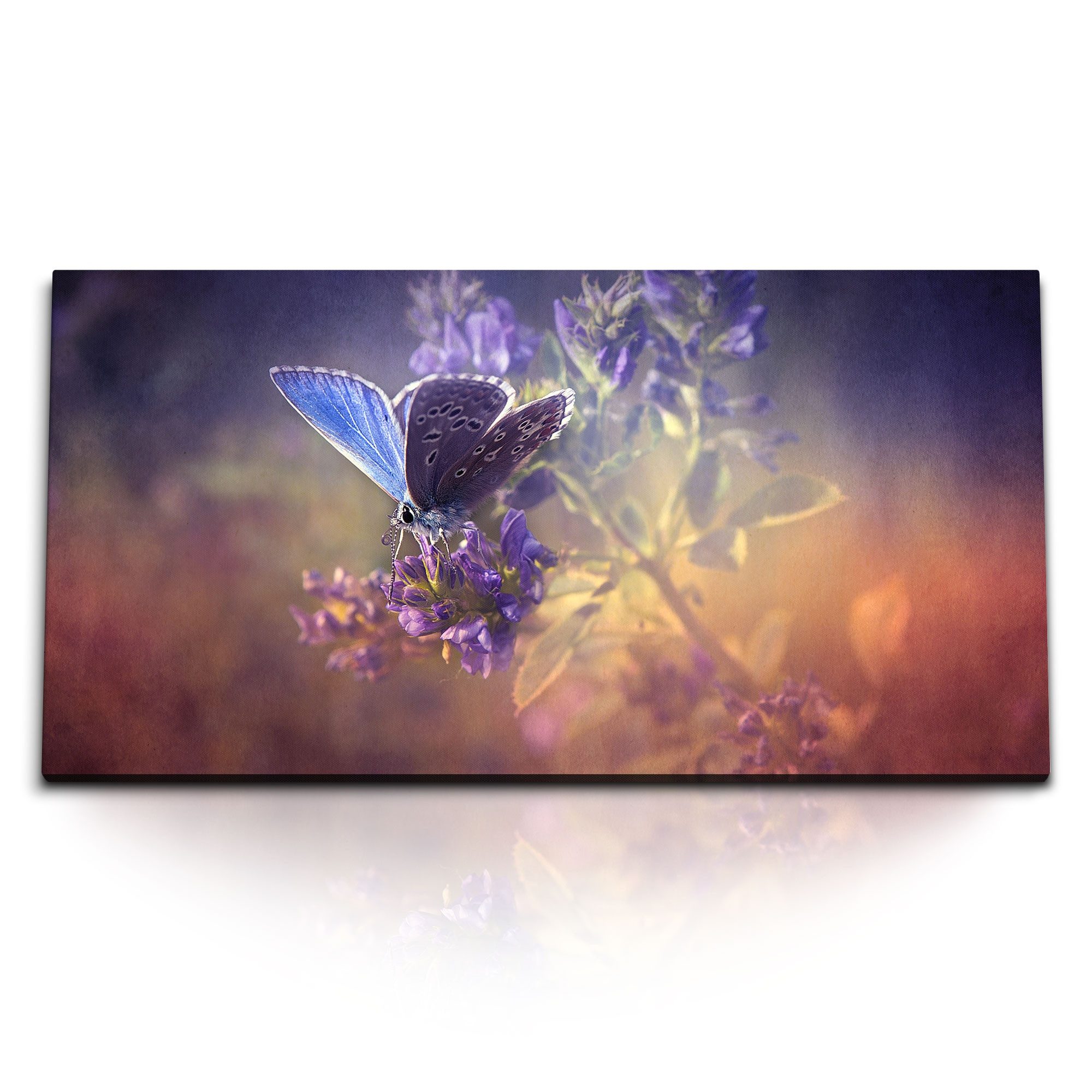 Leinwandbild Kunstdruck Bilder 120x60cm Schmetterling Lavendel Fotokunst Natur Kuns