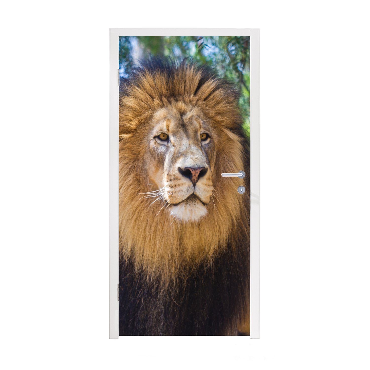 MuchoWow Türtapete Löwe - Natur - Tier, Matt, bedruckt, (1 St), Fototapete für Tür, Türaufkleber, 75x205 cm