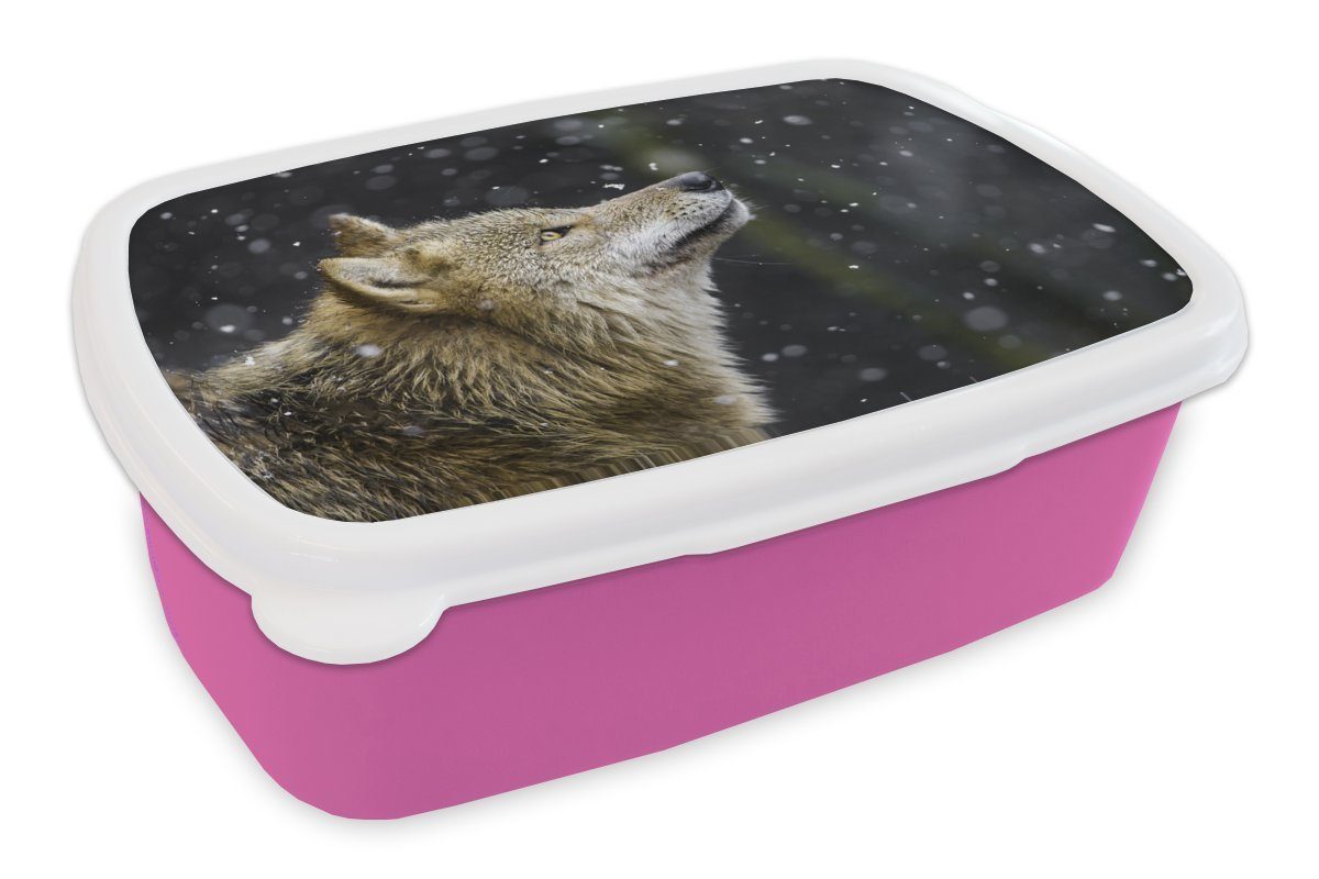 MuchoWow Lunchbox Wolf - Schnee - Braun, Kunststoff, (2-tlg), Brotbox für Erwachsene, Brotdose Kinder, Snackbox, Mädchen, Kunststoff rosa