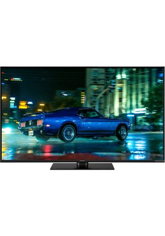 PANASONIC TX-49FXW554 LED-Fernseher (123 cm / (4...