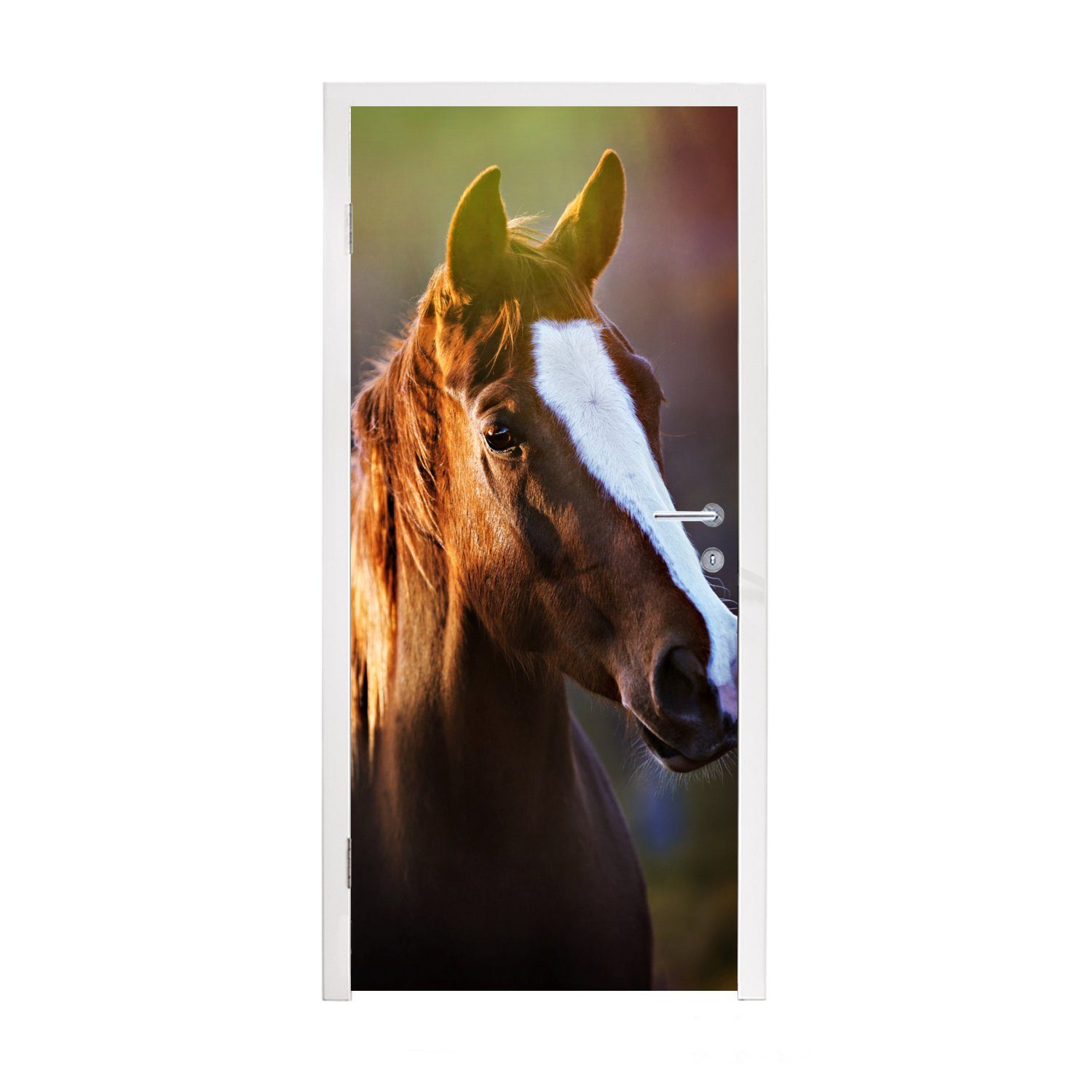 MuchoWow Türtapete Porträt eines braunen Pferdes in der Sonne, Matt, bedruckt, (1 St), Fototapete für Tür, Türaufkleber, 75x205 cm