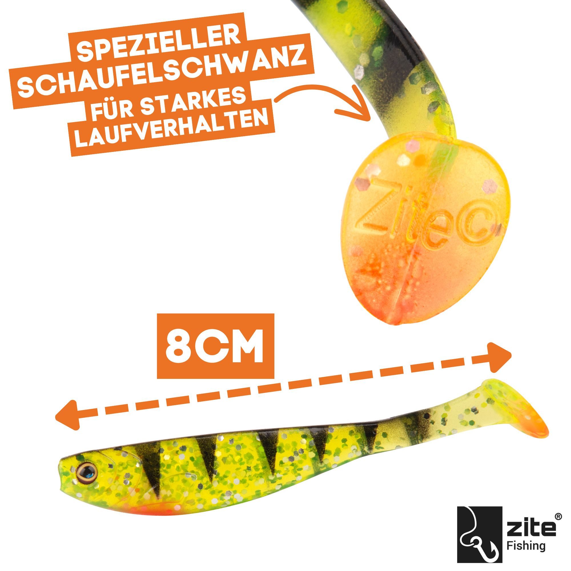 Zite Spinnrute Inzite Base Stick Barsch-Set - Angelrute + Angelrolle mit Zubehör