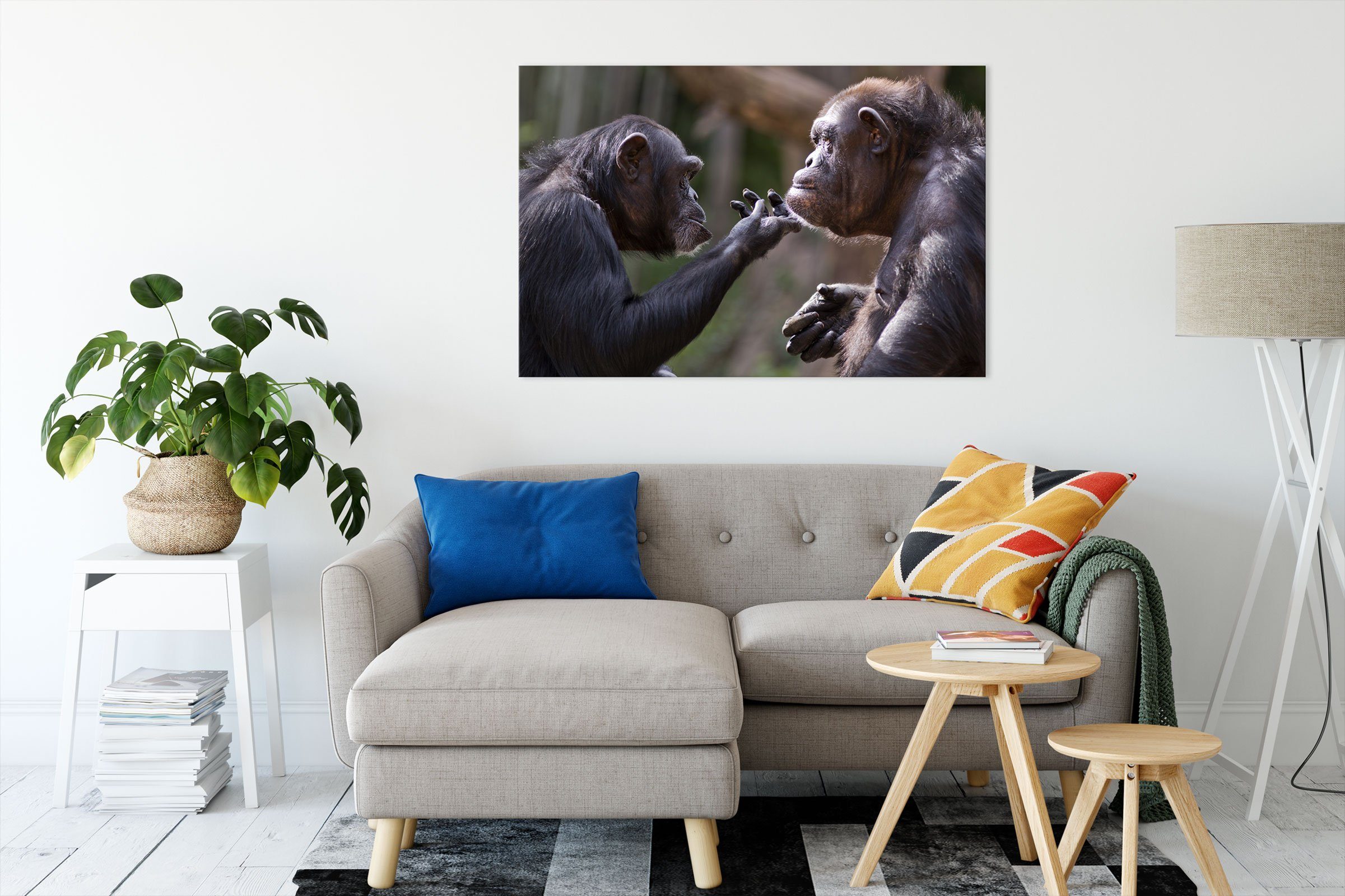 Leinwandbild (1 inkl. fertig Freundschaft bespannt, Schimpansen Schimpansen St), Zackenaufhänger Pixxprint Freundschaft, Leinwandbild